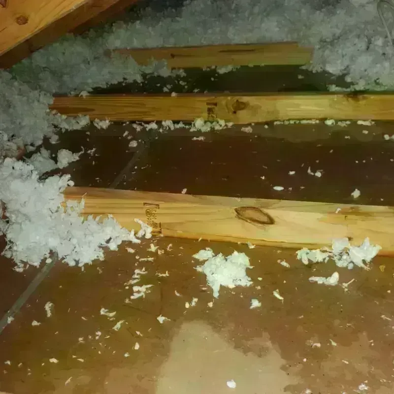 Attic Water Damage in La Blanca, TX